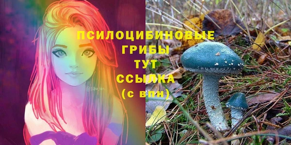 герыч Вязьма