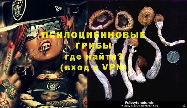 герыч Вязьма